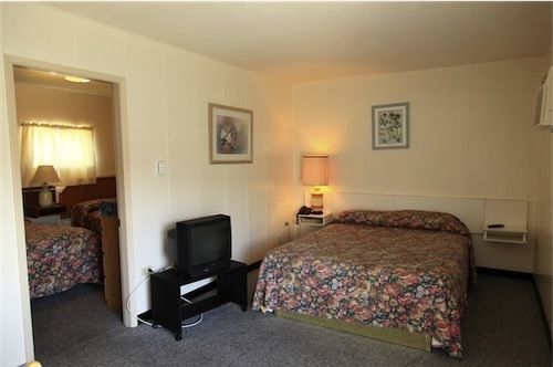 Apple Tree 3* Penticton